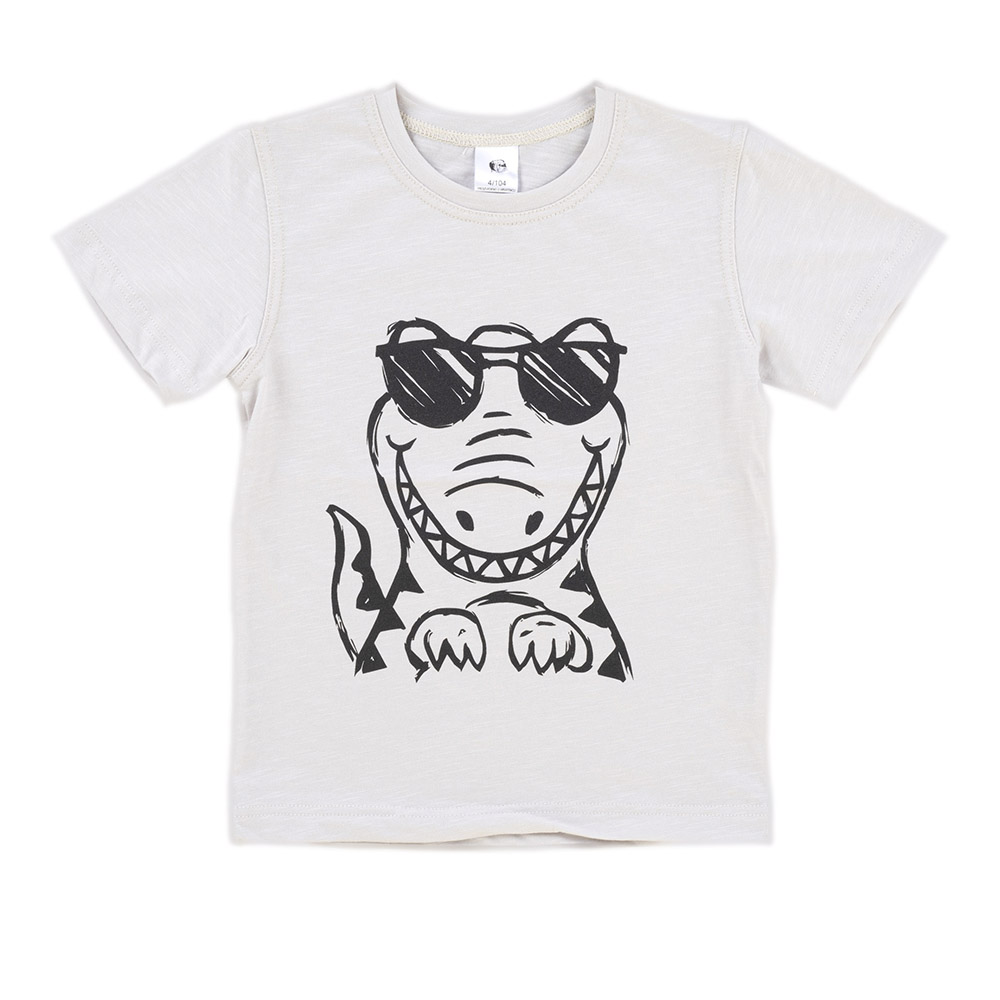 Dječja majica Alex picture