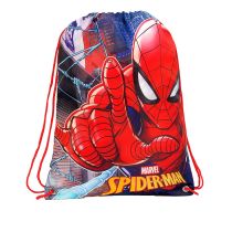 Torbica Spiderman picture