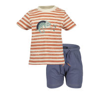 Baby komplet picture