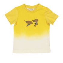 Dječja majica picture